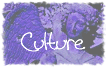 Le secteur culturel de la Ligue 51